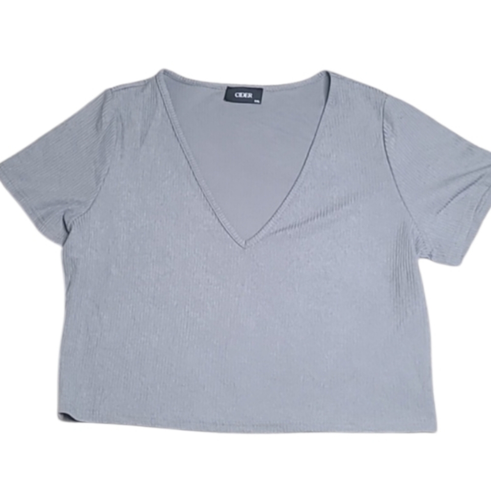 Cider Gray Ribbed Short Sleeve V Neck Crop Top